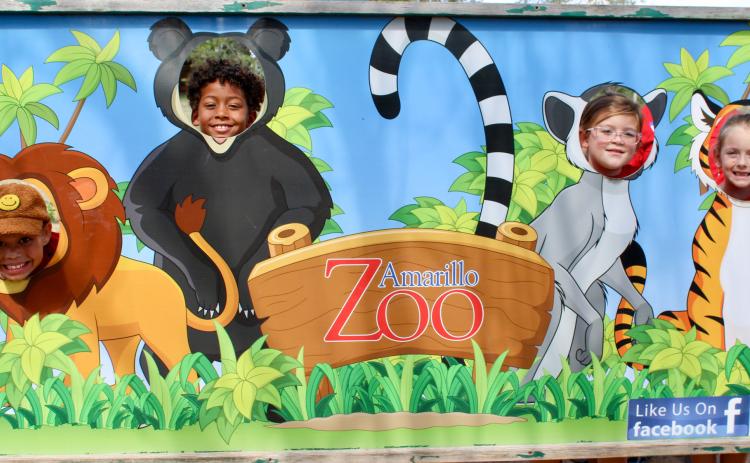 WOCI caps summer program with Amarillo Zoo field trip