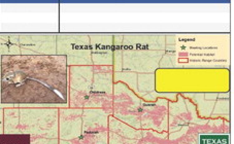 A landowner meeting, discussing the details of the Candidate Conservation Agreement with Assurances (CCAA) for the Texas kangaroo rat, will be held at South Plains Electric Cooperative, located at 1900 Ave. C NW in Childress, at 4 p.m. Thursday, Nov. 10. Courtesy Graphic
