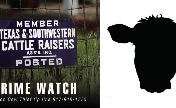 Collingsworth County cattle theft reported