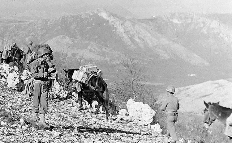 Pack mules on a mountain top in Italy. Floyd Killough Collection
