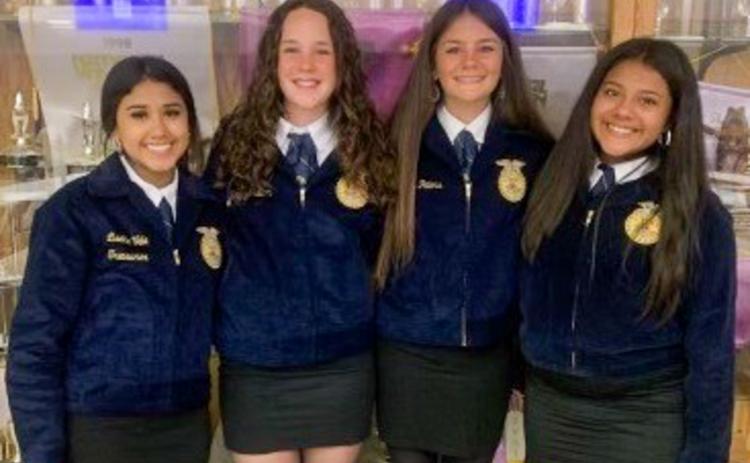 Ladies represent Wellington FFA