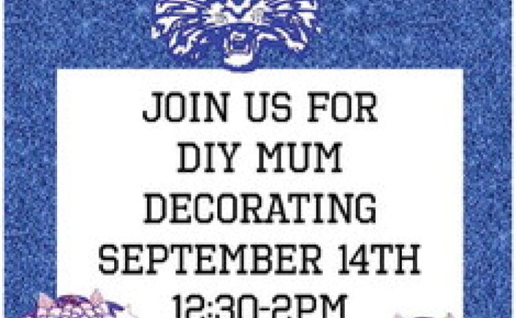 Childress County Heritage Museum to host DIY mum decorating
