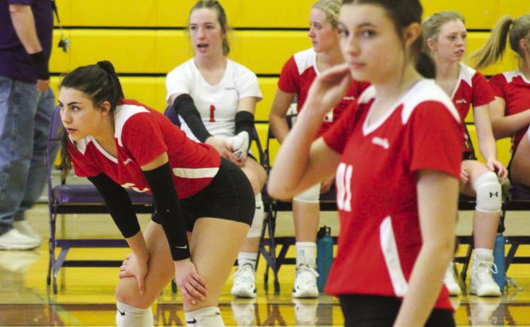 Lady Cats compete in