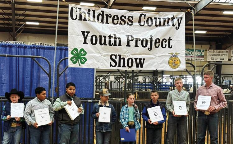 2023 Childress County Youth Project Show