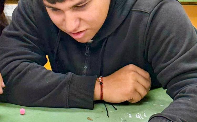 Memphis High School science classes get creative