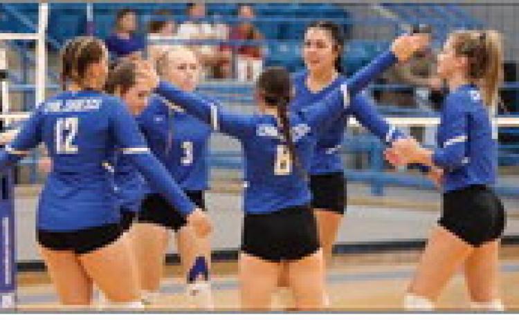 Lady Cats shutout Dimmitt
